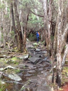 The Overland Track Tasmania March 2015
