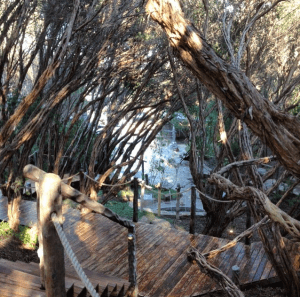 Screen Shot 2015-07-09 at 4.16.46 pm